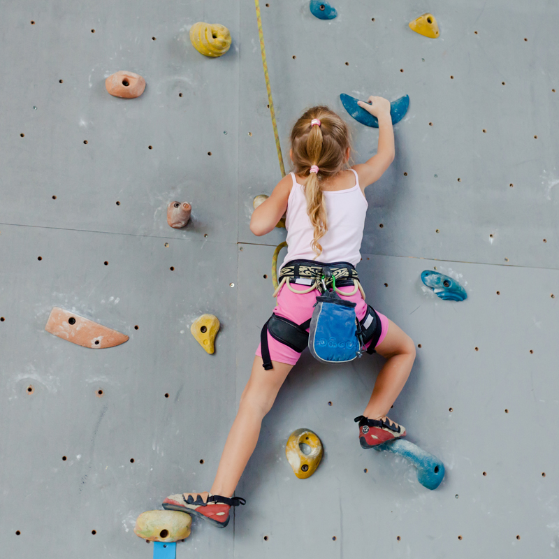 The Life Time Fitness Camp Contract is All That's Wrong With Lawyers in America