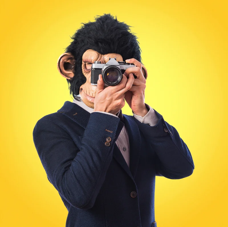 Please! Stop Monkeying Around with Photography Law!