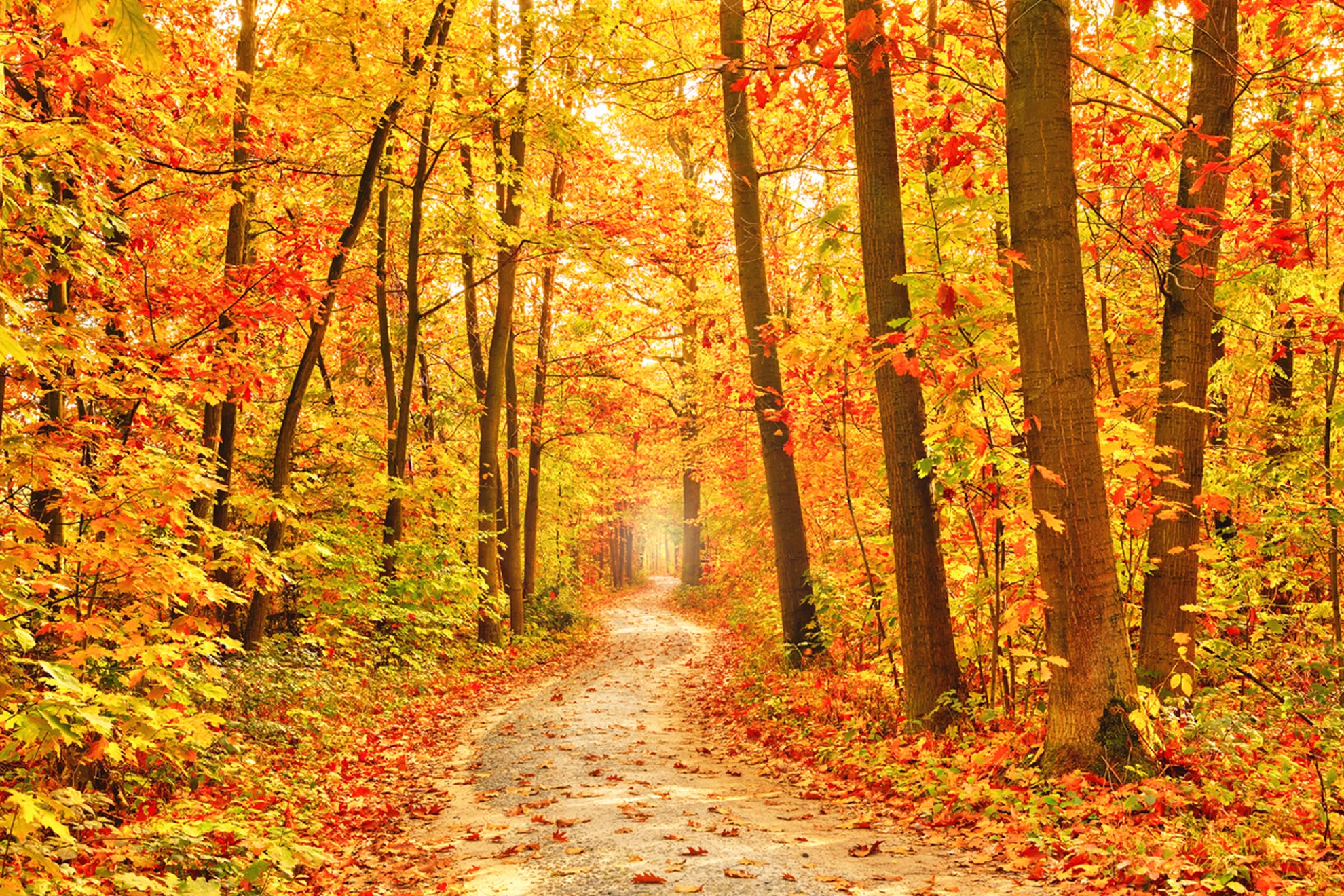 What I'm Thankful For...