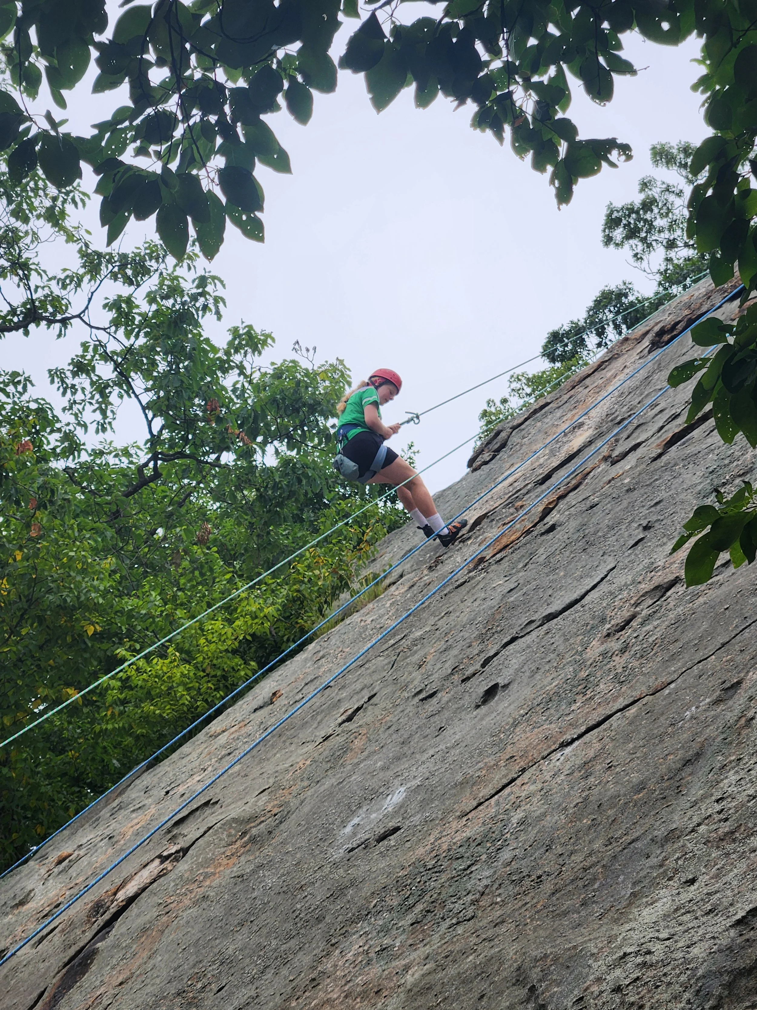 20260707_151019.jpg