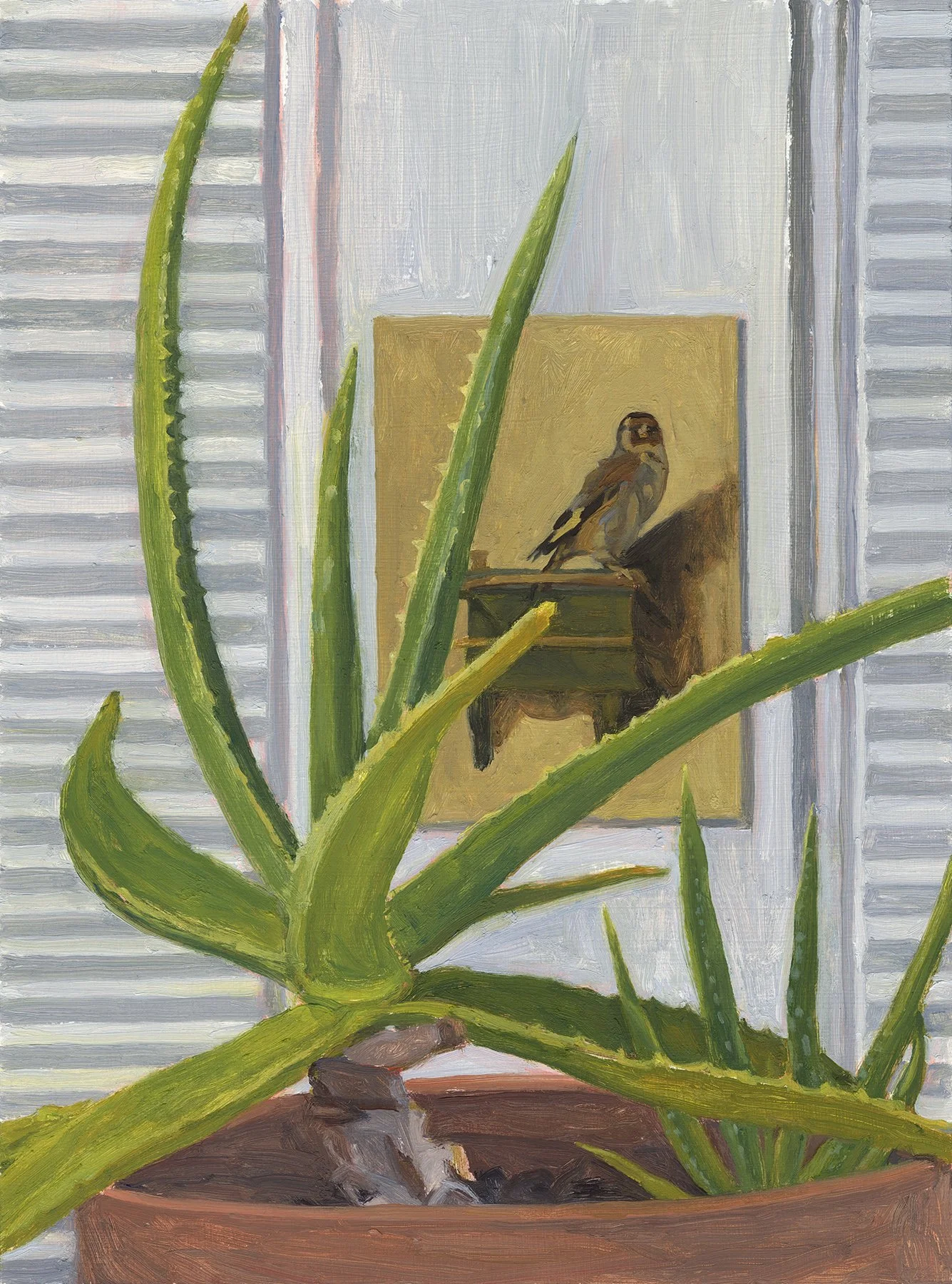 Aloe Plant and Fabritius' Goldfinch