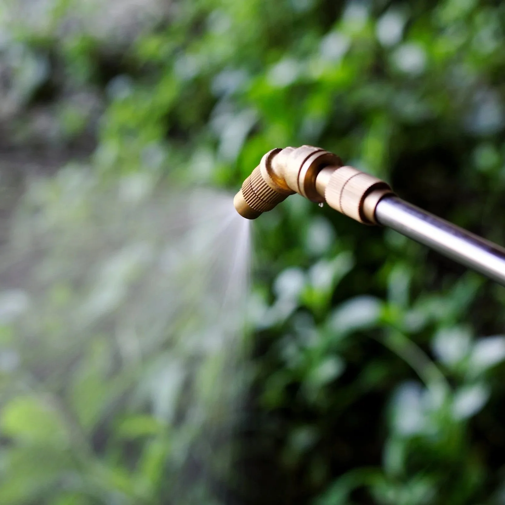 AdobeStock_335331140.jpg