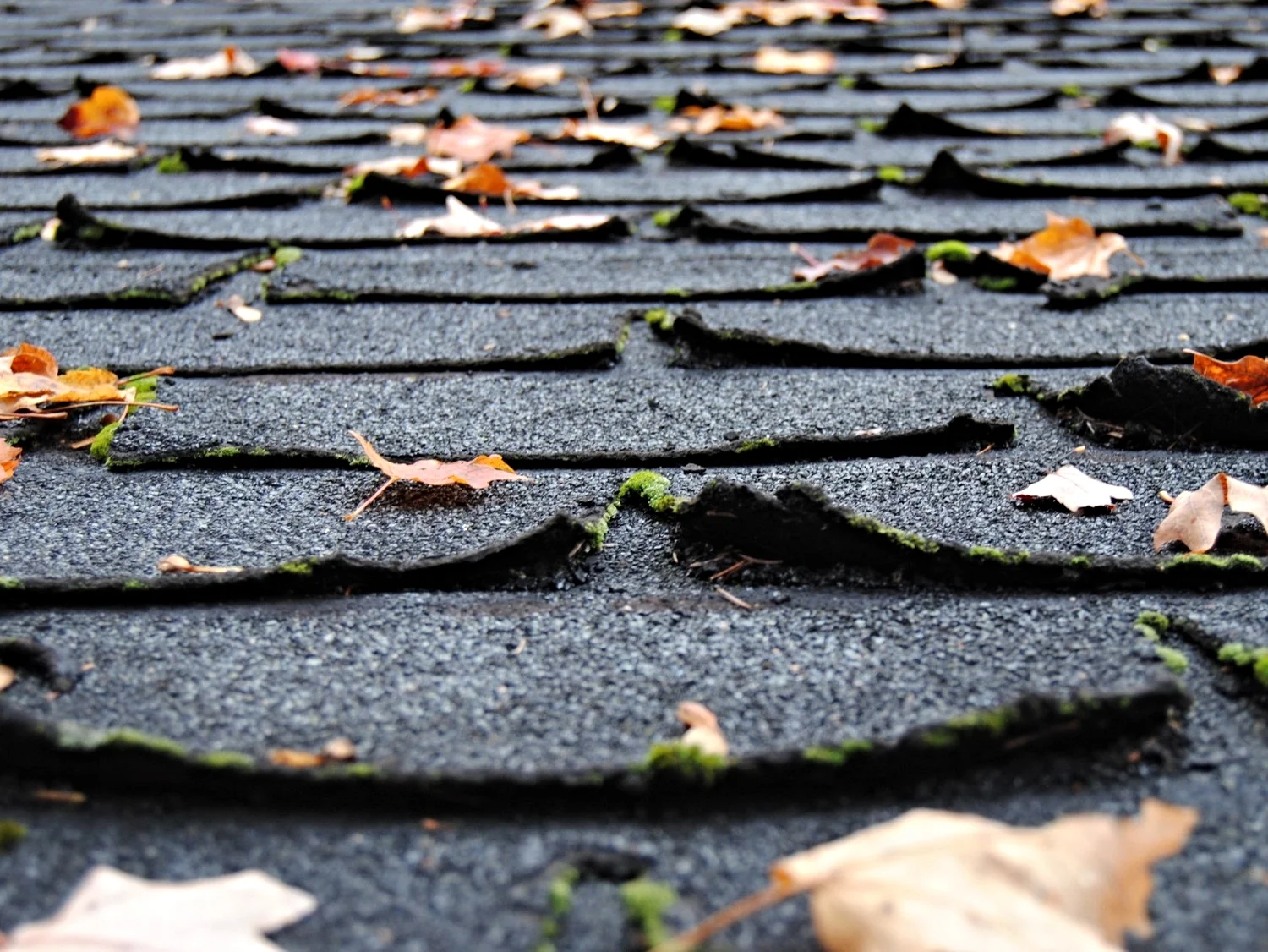 old-asphalt-shingles.jpg