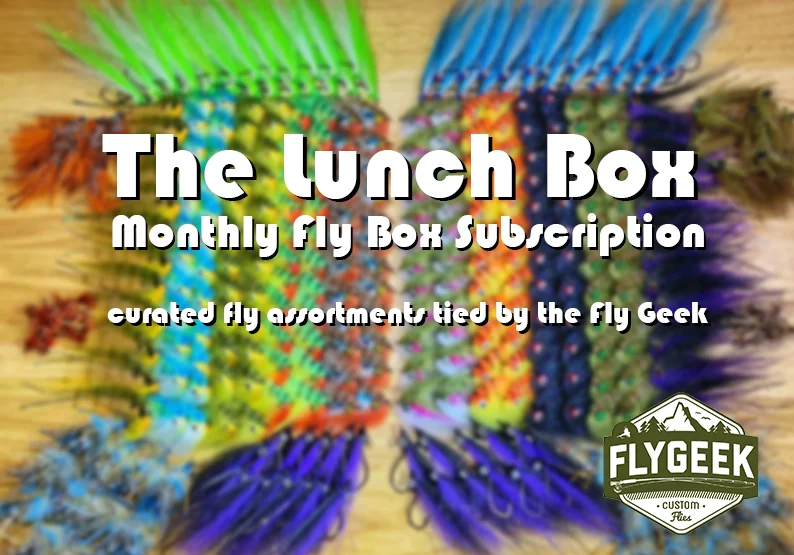 flygeek lunch box promo.jpg