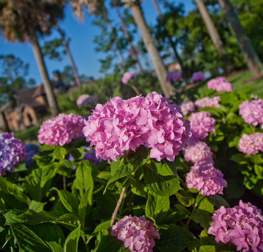 landscaping-0061.jpg