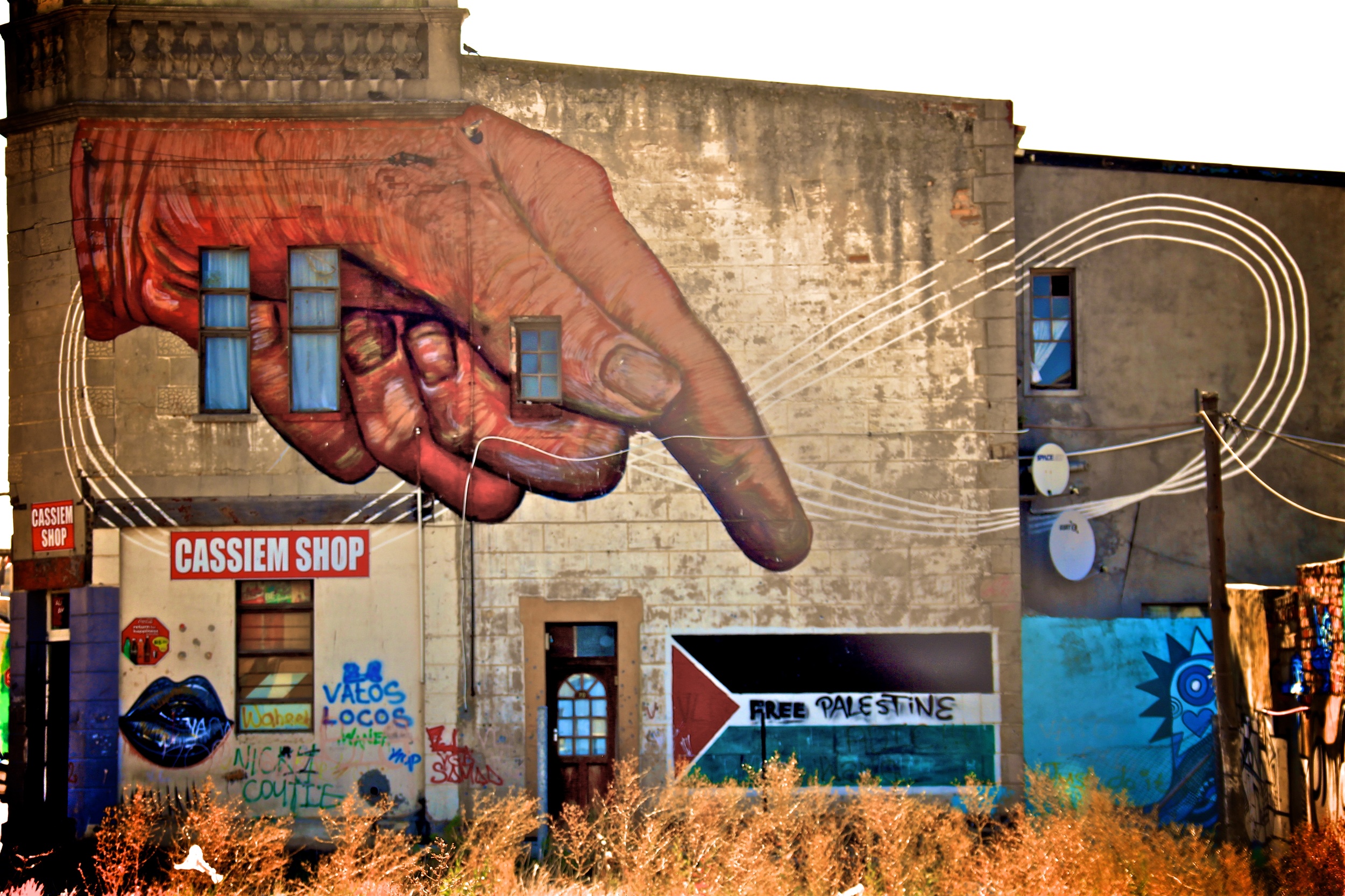 African Wall II.