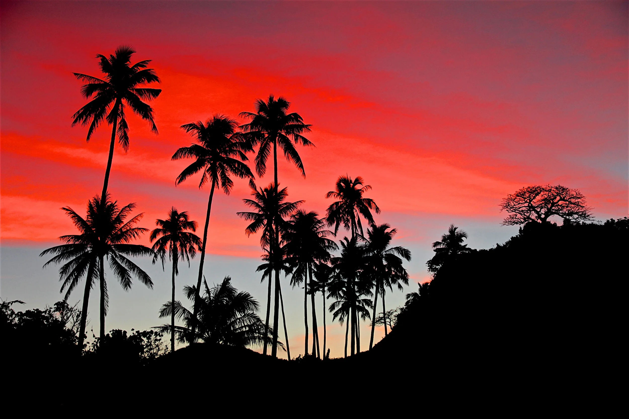 Sundowner.