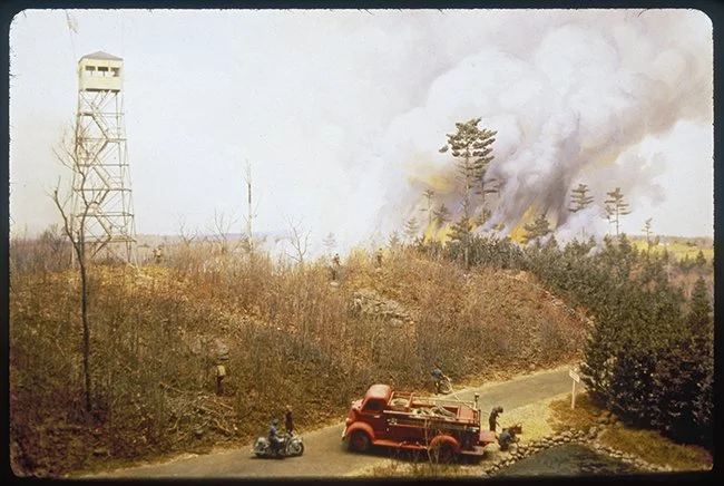 HF_2008_Diorama21ForestFire_JG-X5.jpg