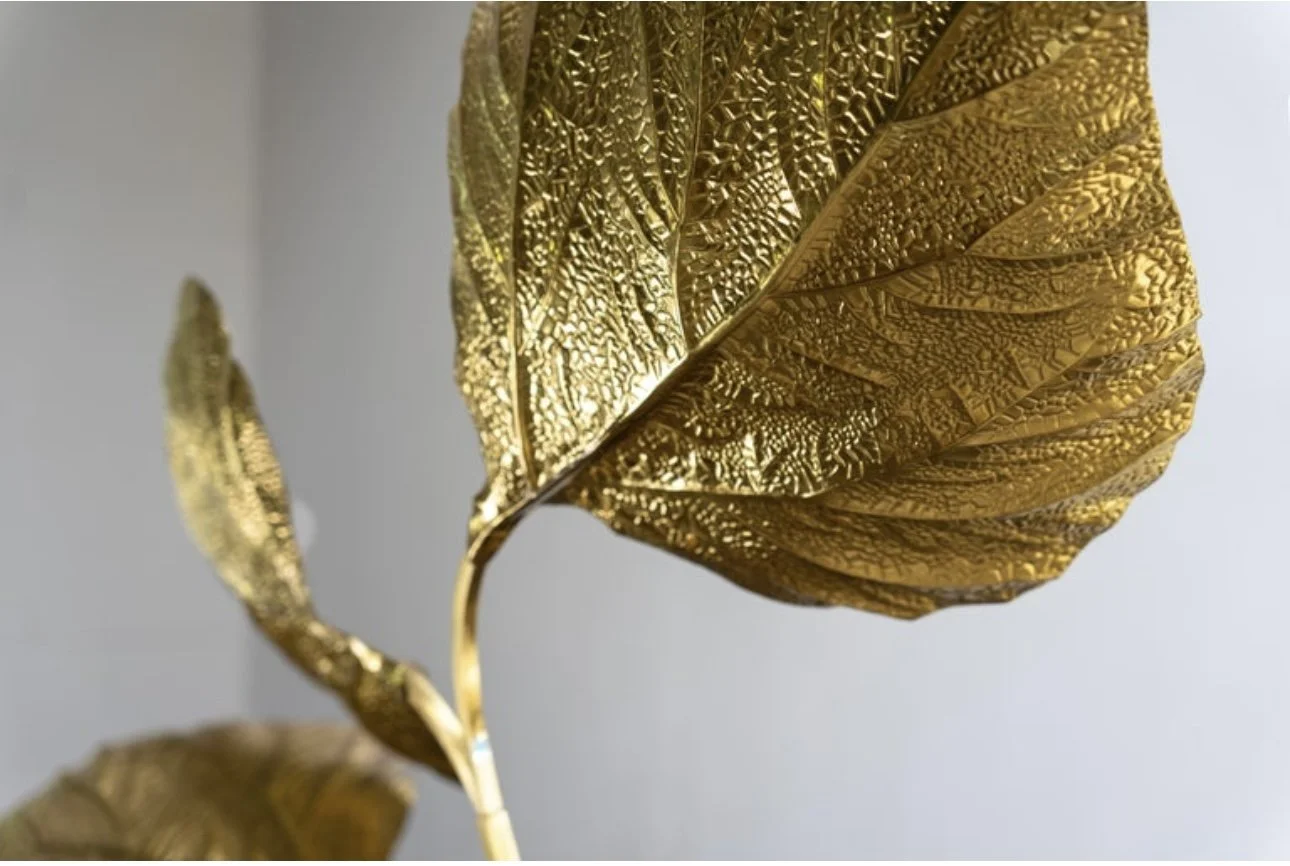 EC58F07D-C6DF-4348-B667-A4E799B0CD1A_1_201_a.jpeg (Copy)