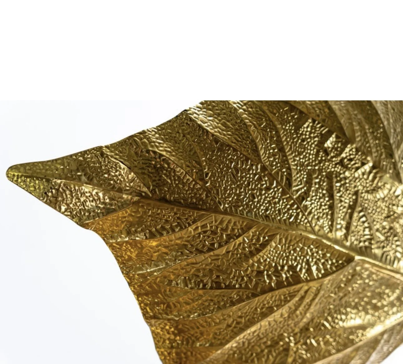 5C67C3ED-F7CB-44A7-B6FB-A67059C5869C_1_201_a.jpeg (Copy)