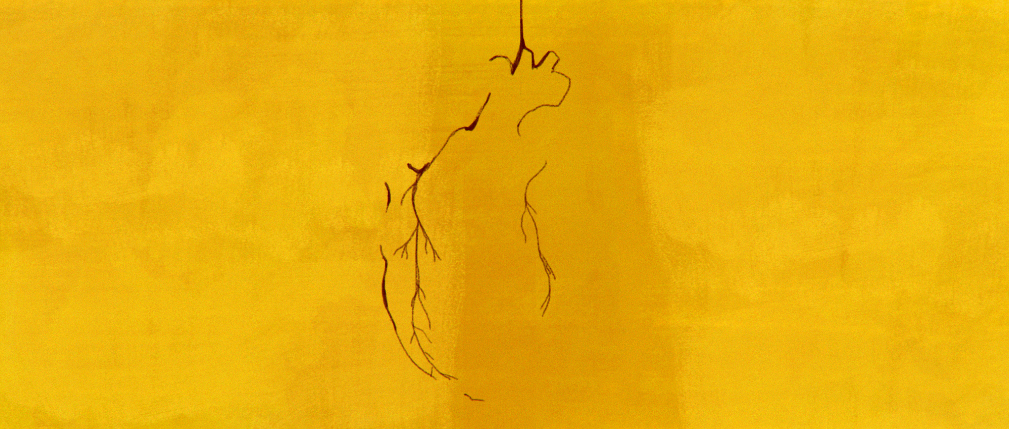 FRAME-11.png