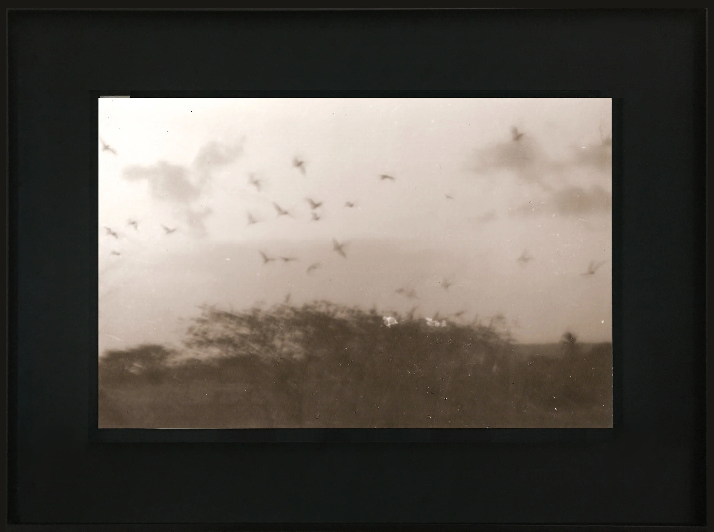 Circling Feathers.jpg