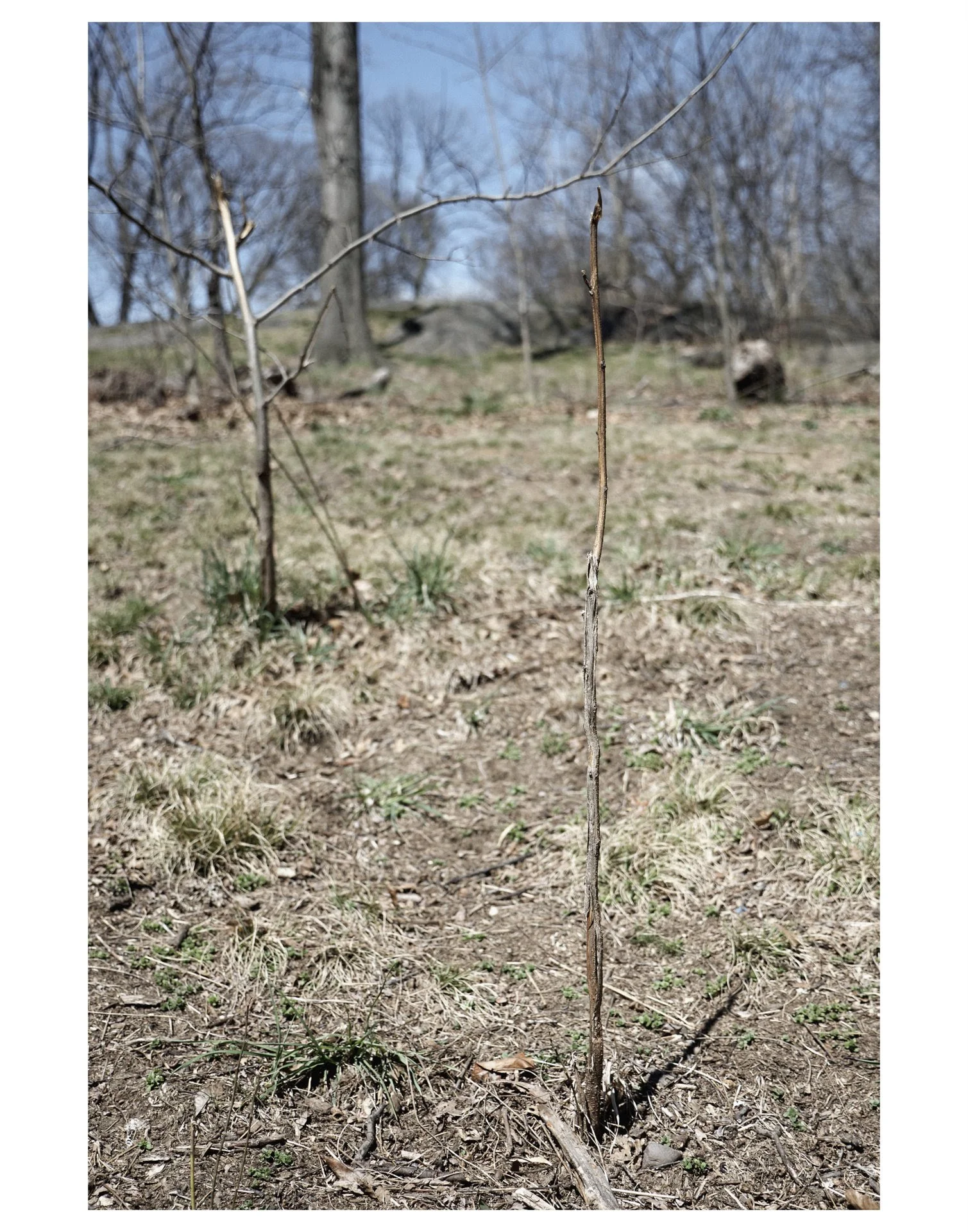 AG2018-MNP_1080243c11x14.jpg