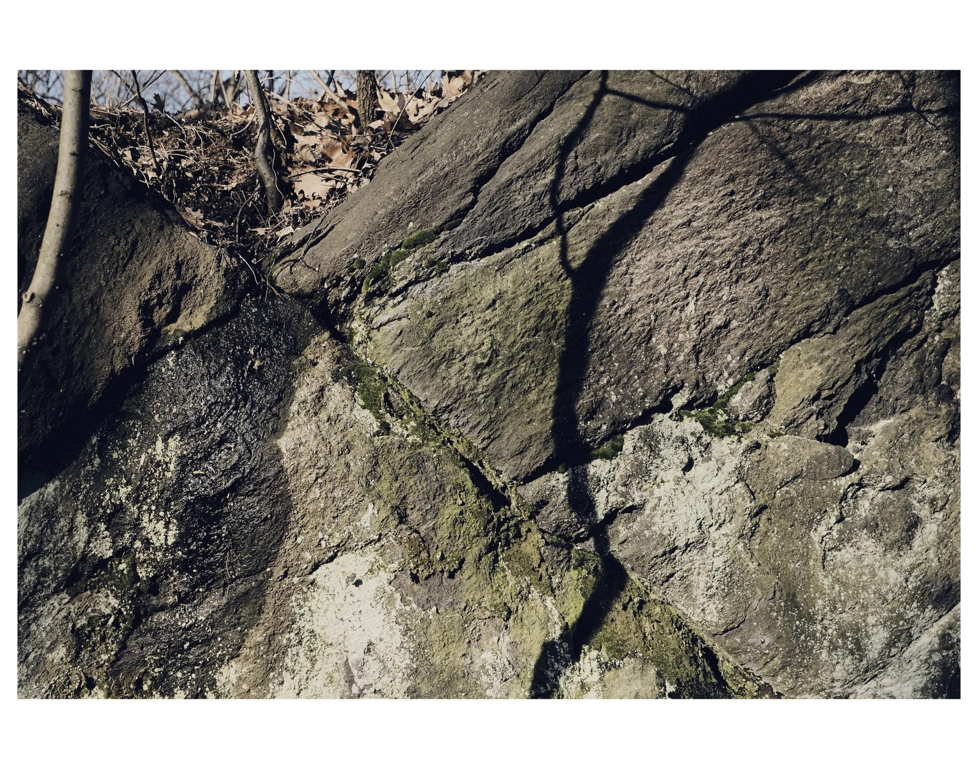 AG2018-MNP_1080361c11x14.jpg