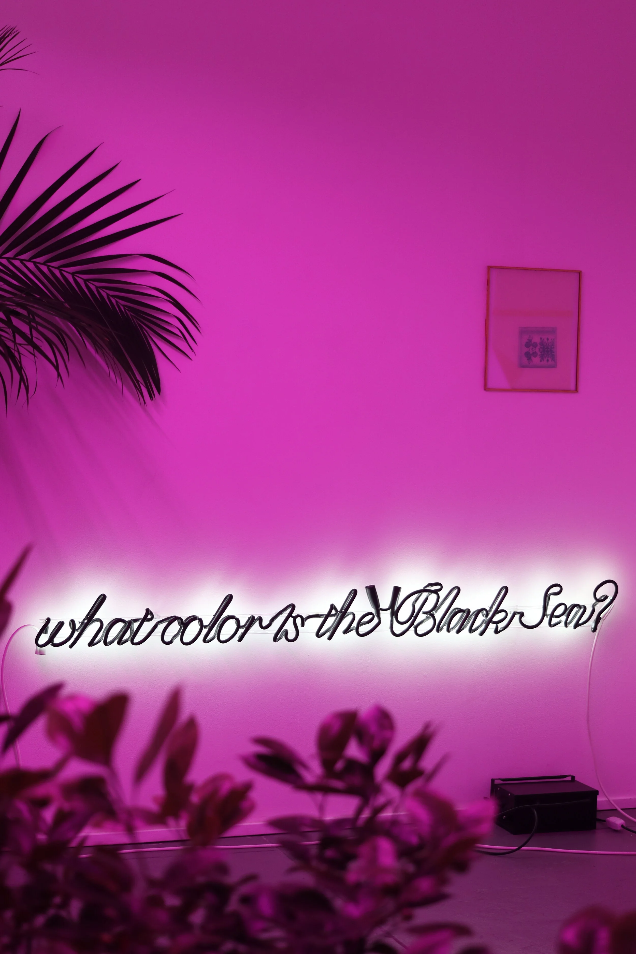 3. Levan Mindiashvili.JPG