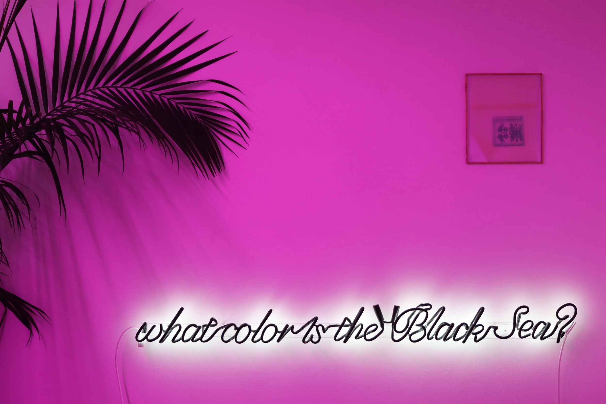 4. Levan Mindiashvili.JPG