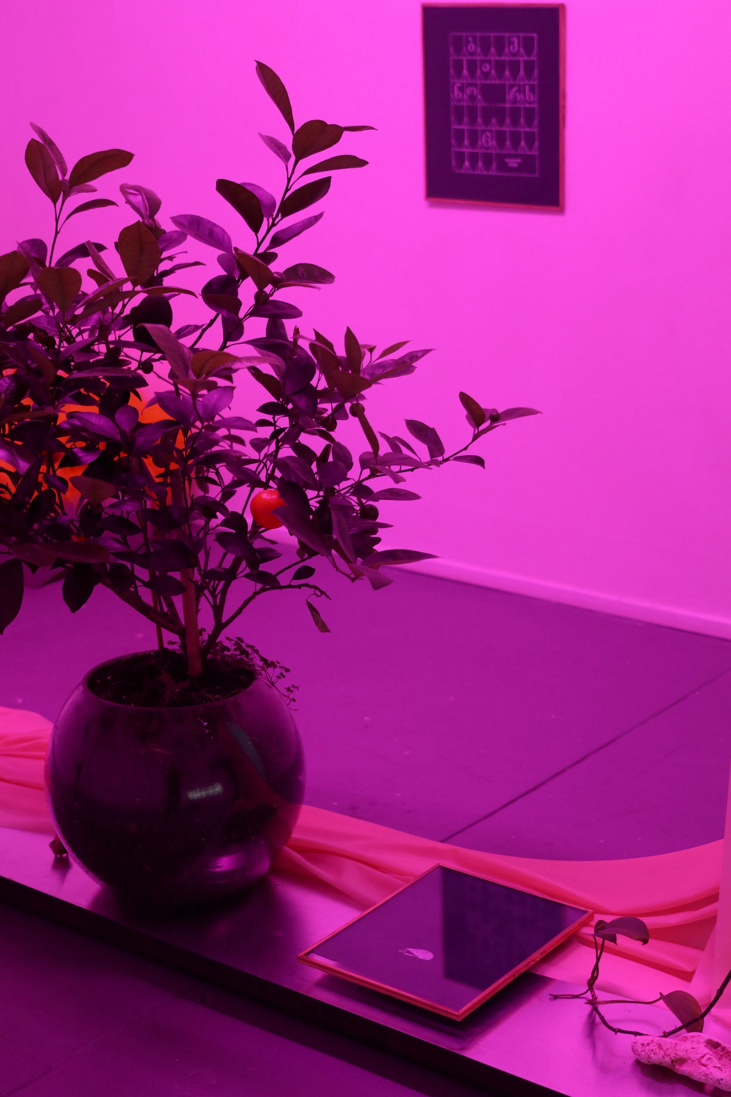 9. Levan Mindiashvili.JPG