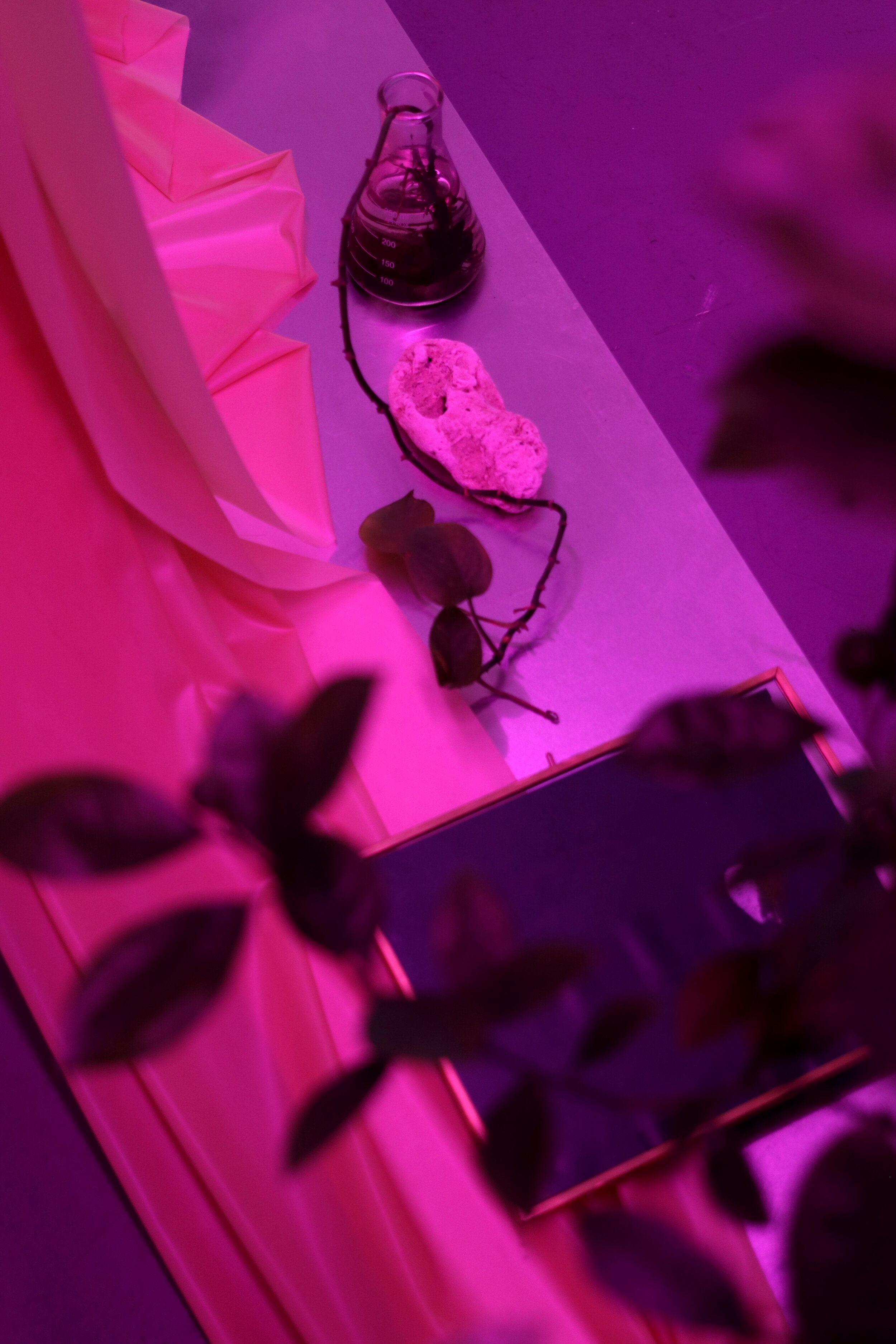 11. Levan Mindiashvili.JPG