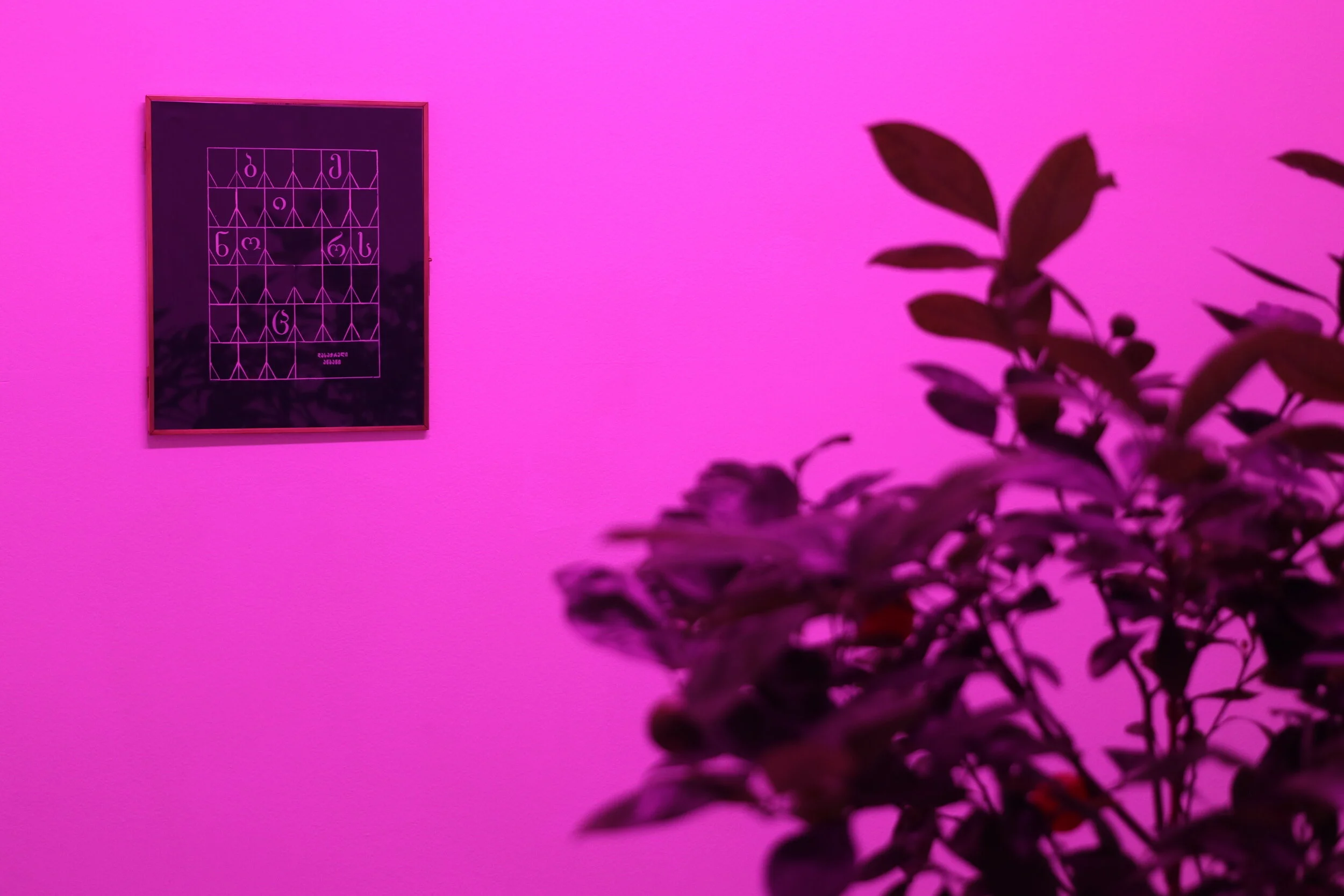 21. Levan Mindiashvili.JPG