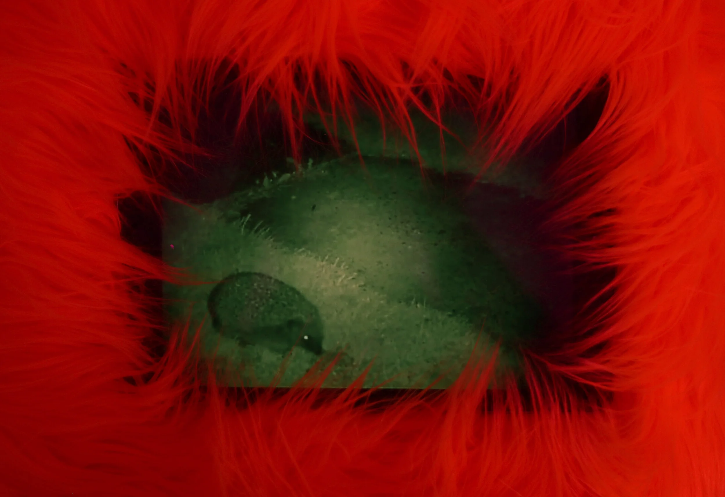 24. Levan Mindiashvili.JPG