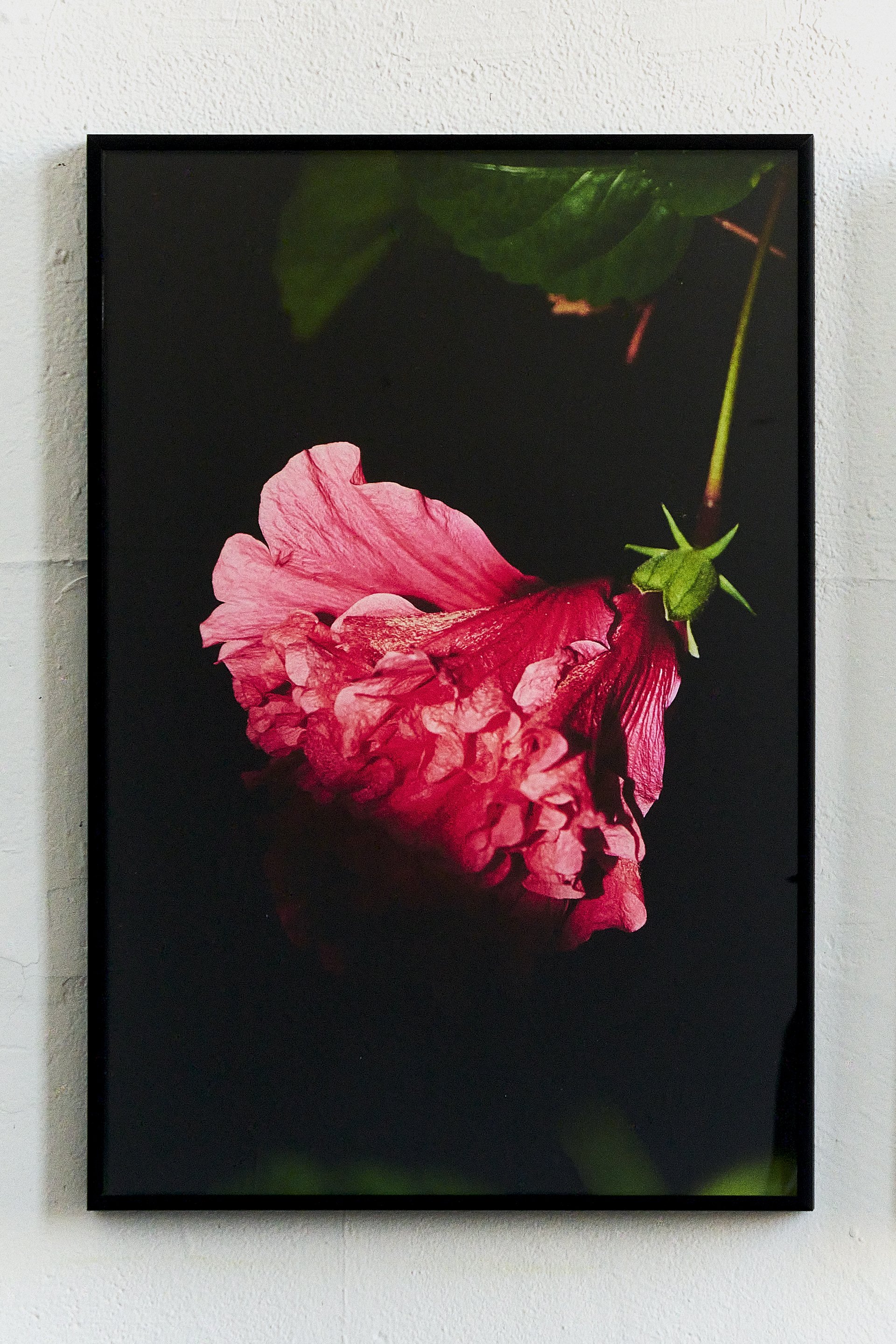 Untitled (This is the place where, with a resonant clarity, we fathom for fortitude) i, 2024