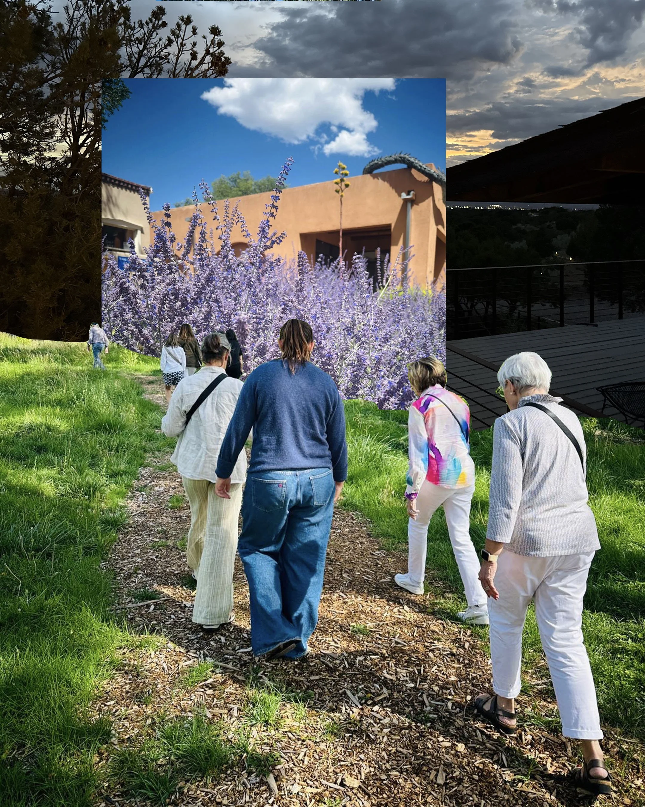 IMG_0815Artboard 6.jpg