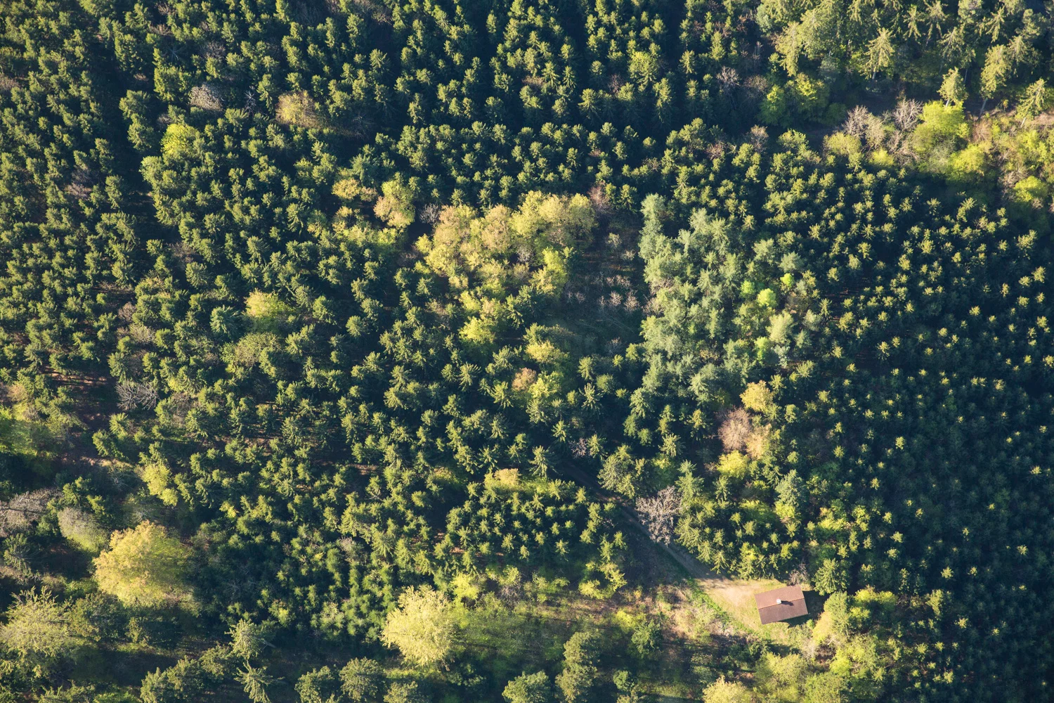 008_Landscapes.jpg
