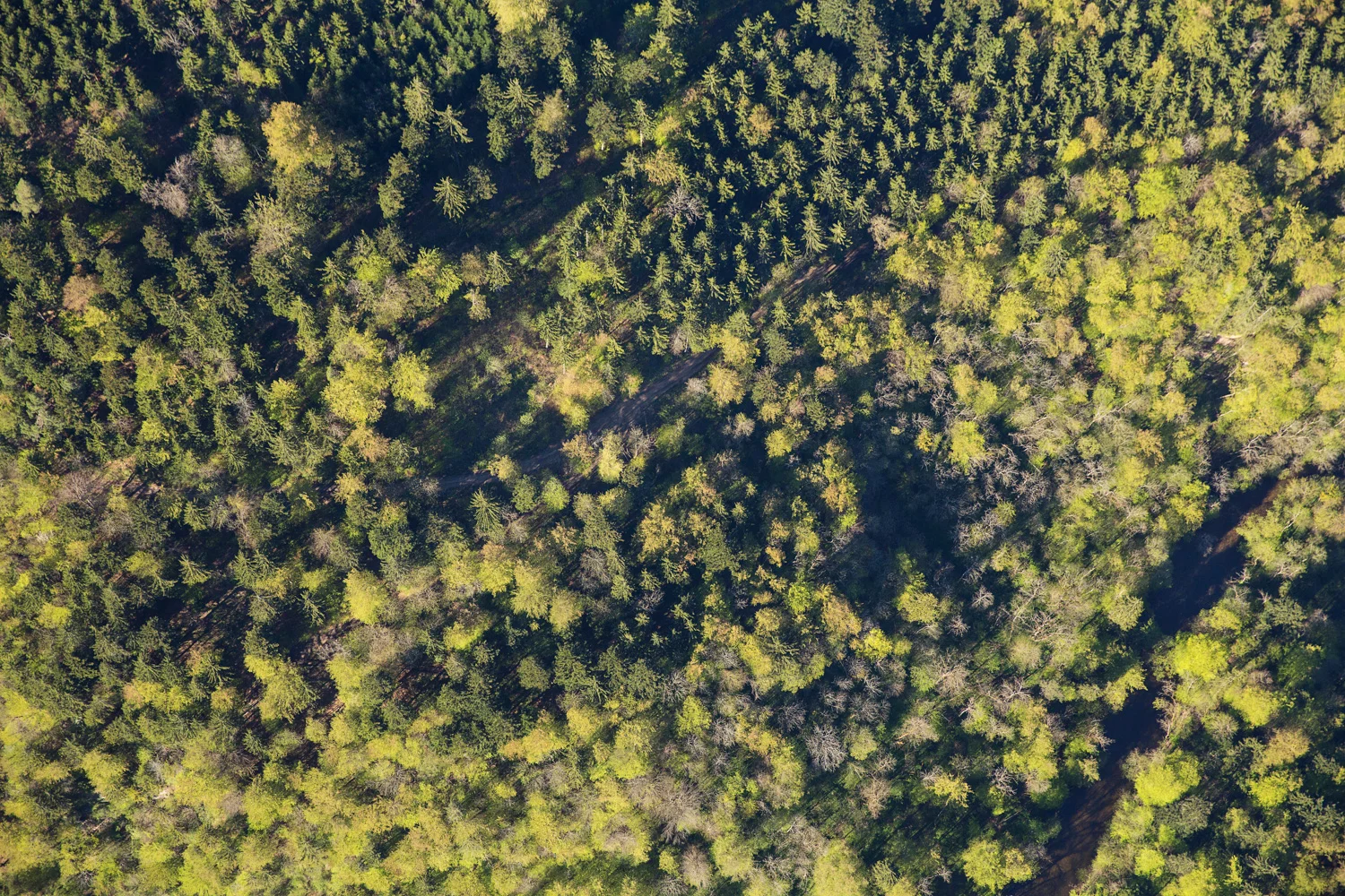 007_Landscapes.jpg