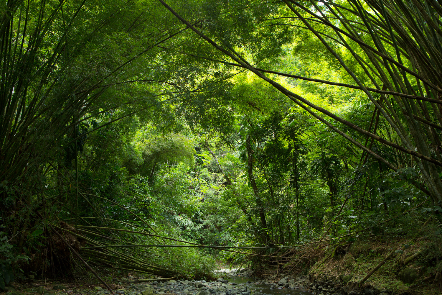 041_Landscapes.jpg