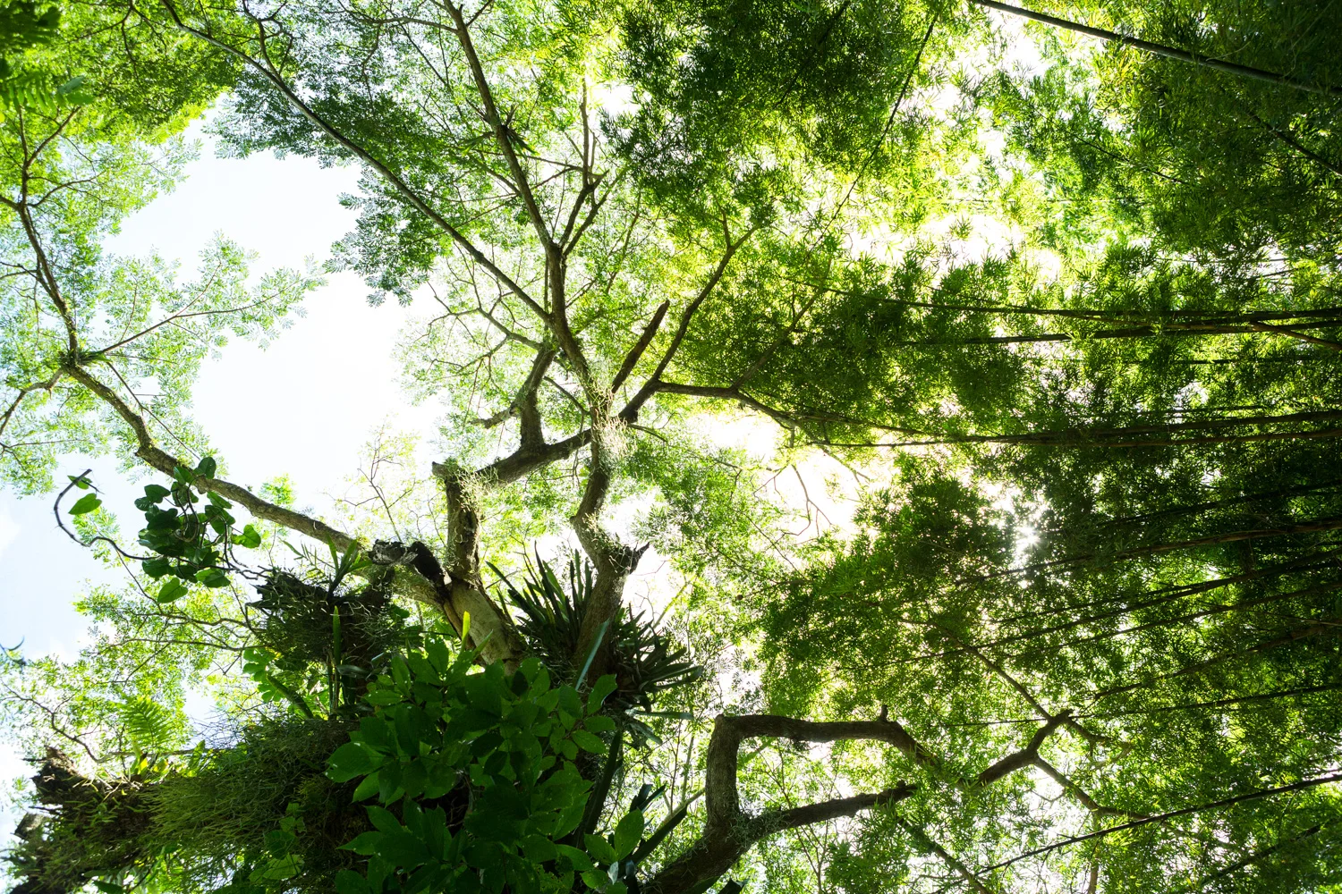 043_Landscapes.jpg
