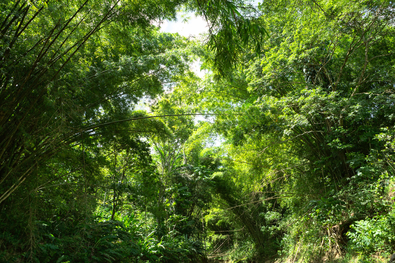 044_Landscapes.jpg