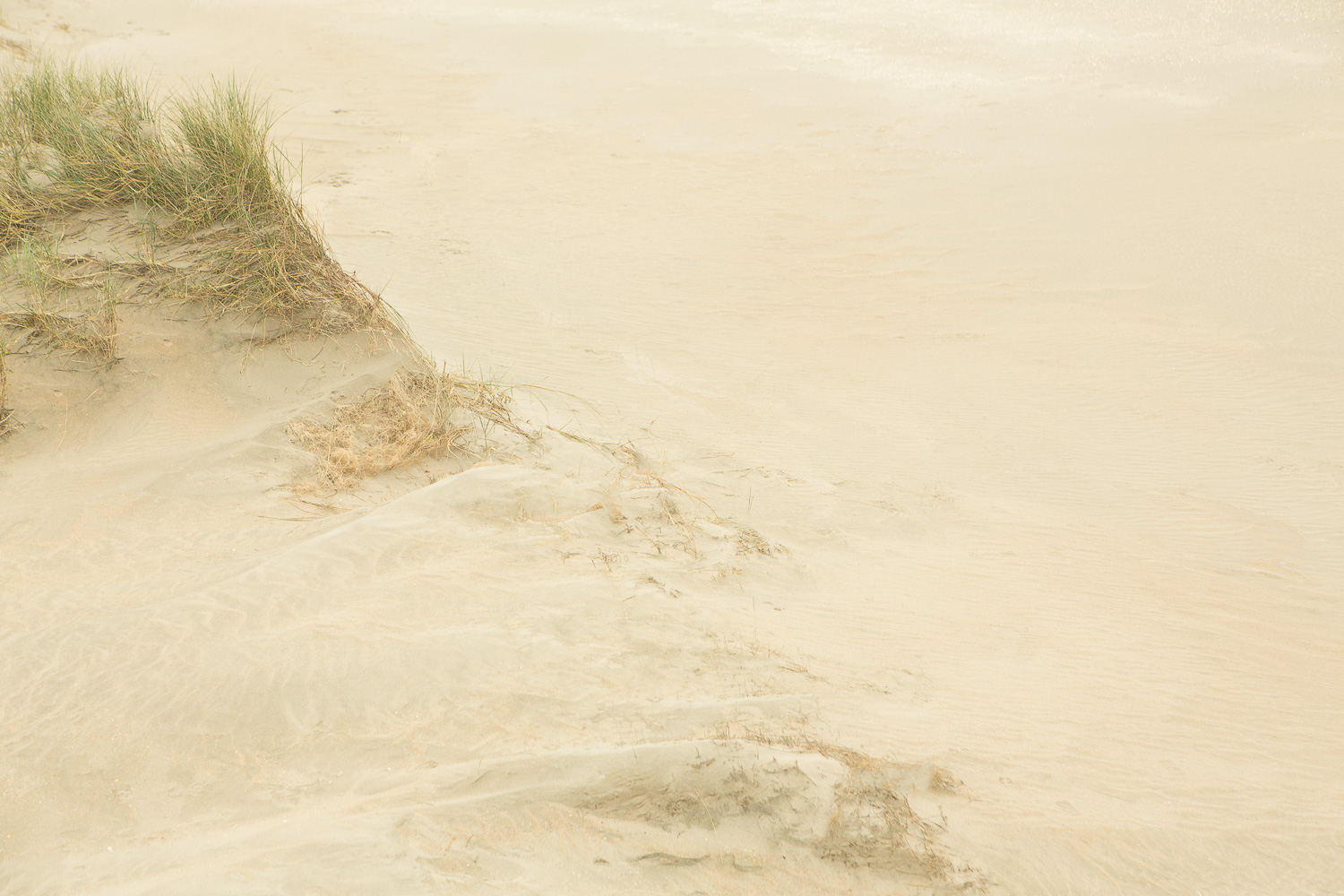  Dunes I, 2016 //  120 x 180 cm  