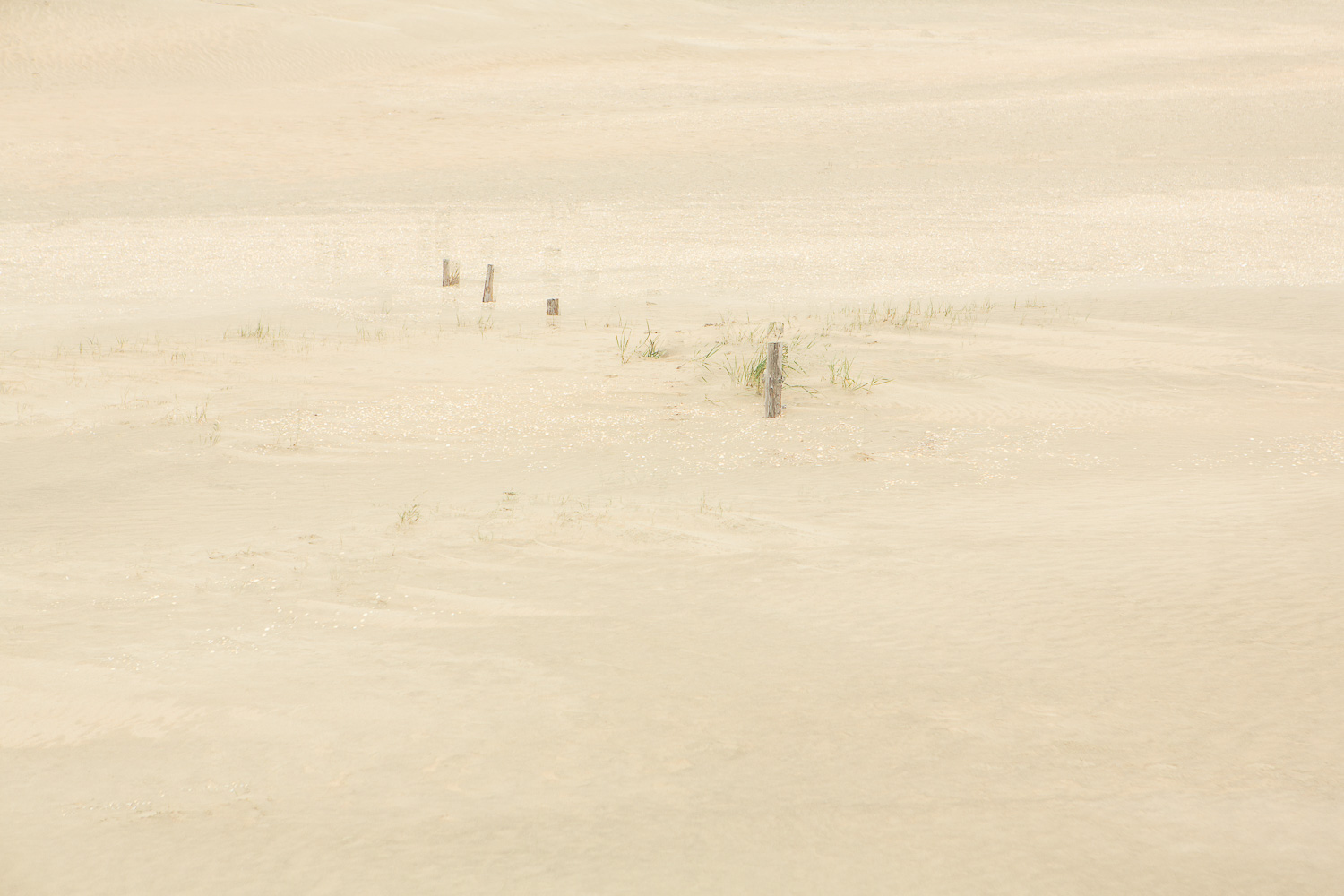  Dunes II, 2016 //  120 x 180 cm  