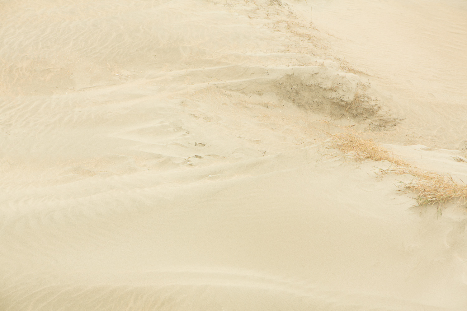  Dunes V, 2016 //  120 x 180 cm  
