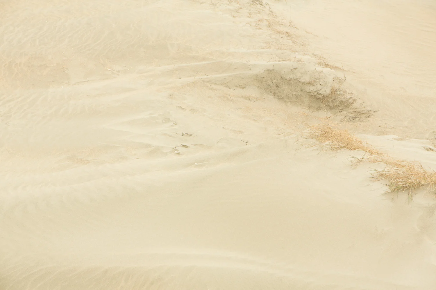 Dunes V, 2016 // 120 x 180 cm