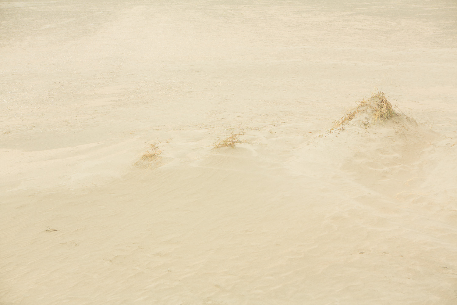  Dunes III, 2016 //  120 x 180 cm  
