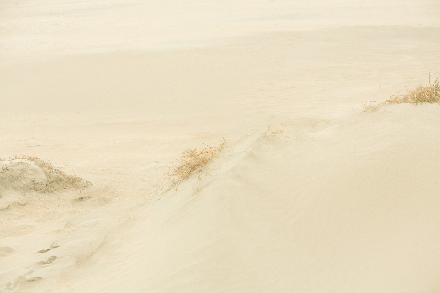  Dunes VI, 2016 //  120 x 180 cm  