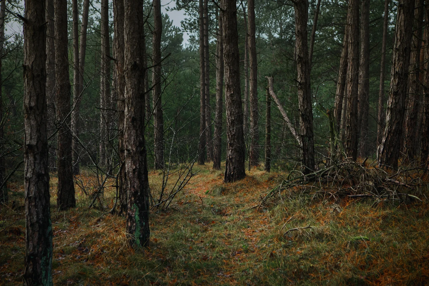 089_Landscapes.jpg