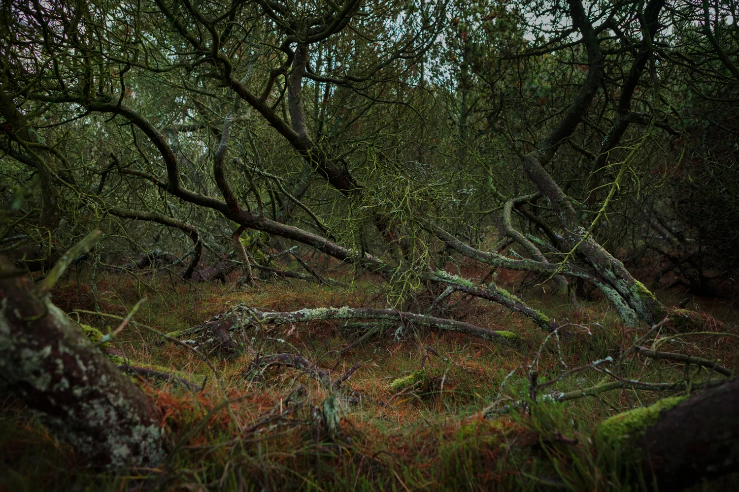 090_Landscapes.jpg