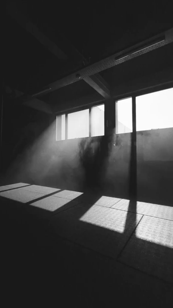 JOJOHARTIG_BTS_027.gif
