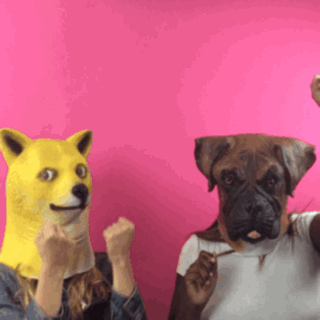 giphy-1.gif