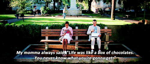 image4.gif