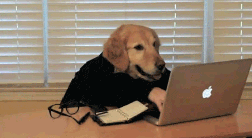 image1.gif
