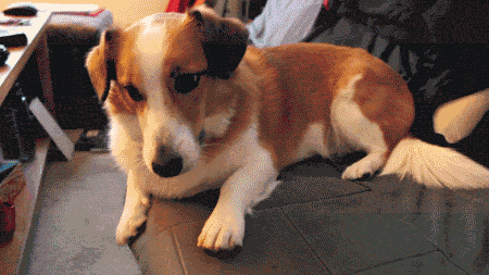 image6.gif