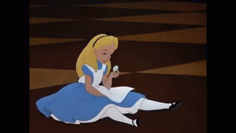 image5.gif