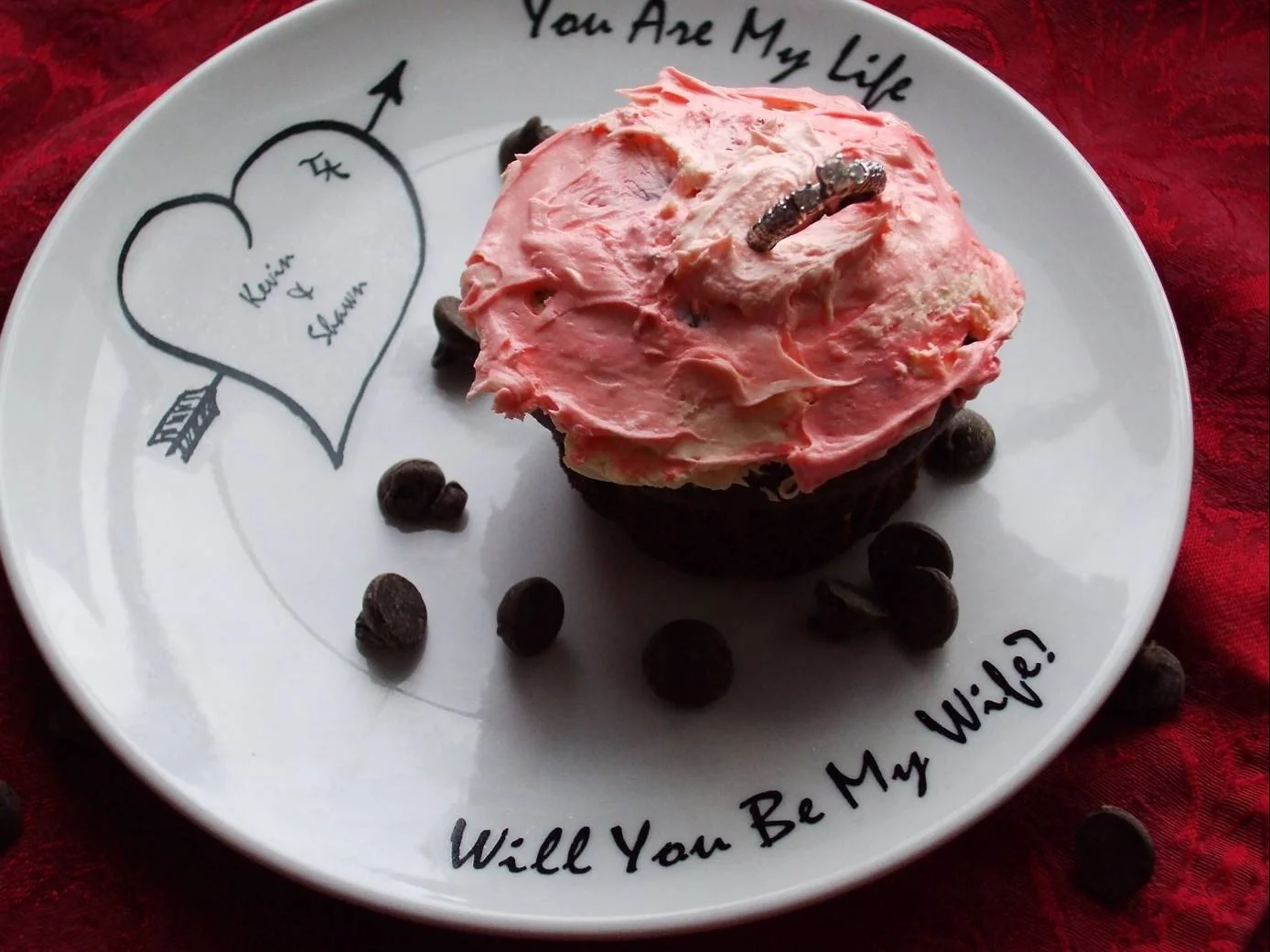 Pop the Question.jpg