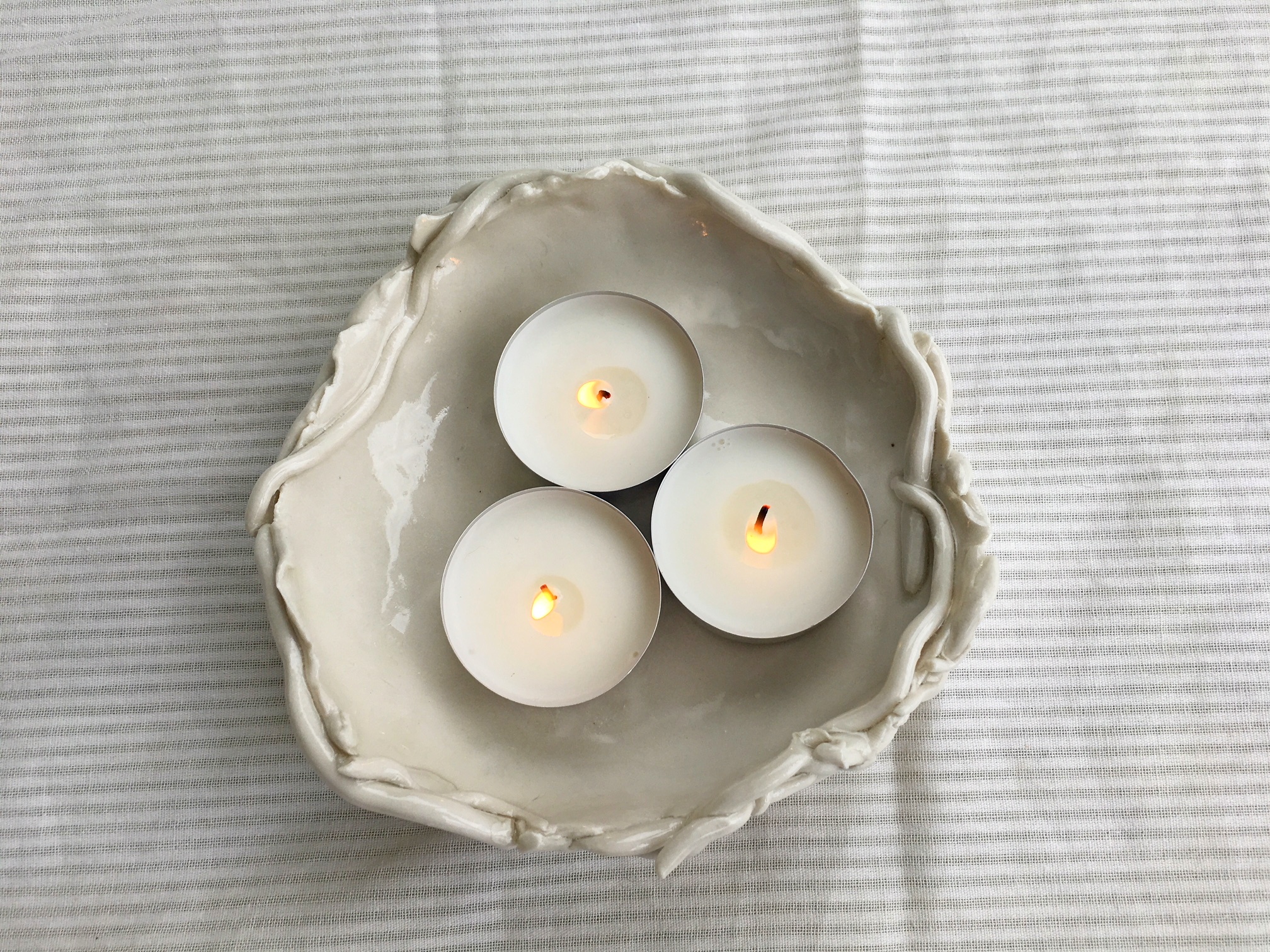 Large nest from above.JPG