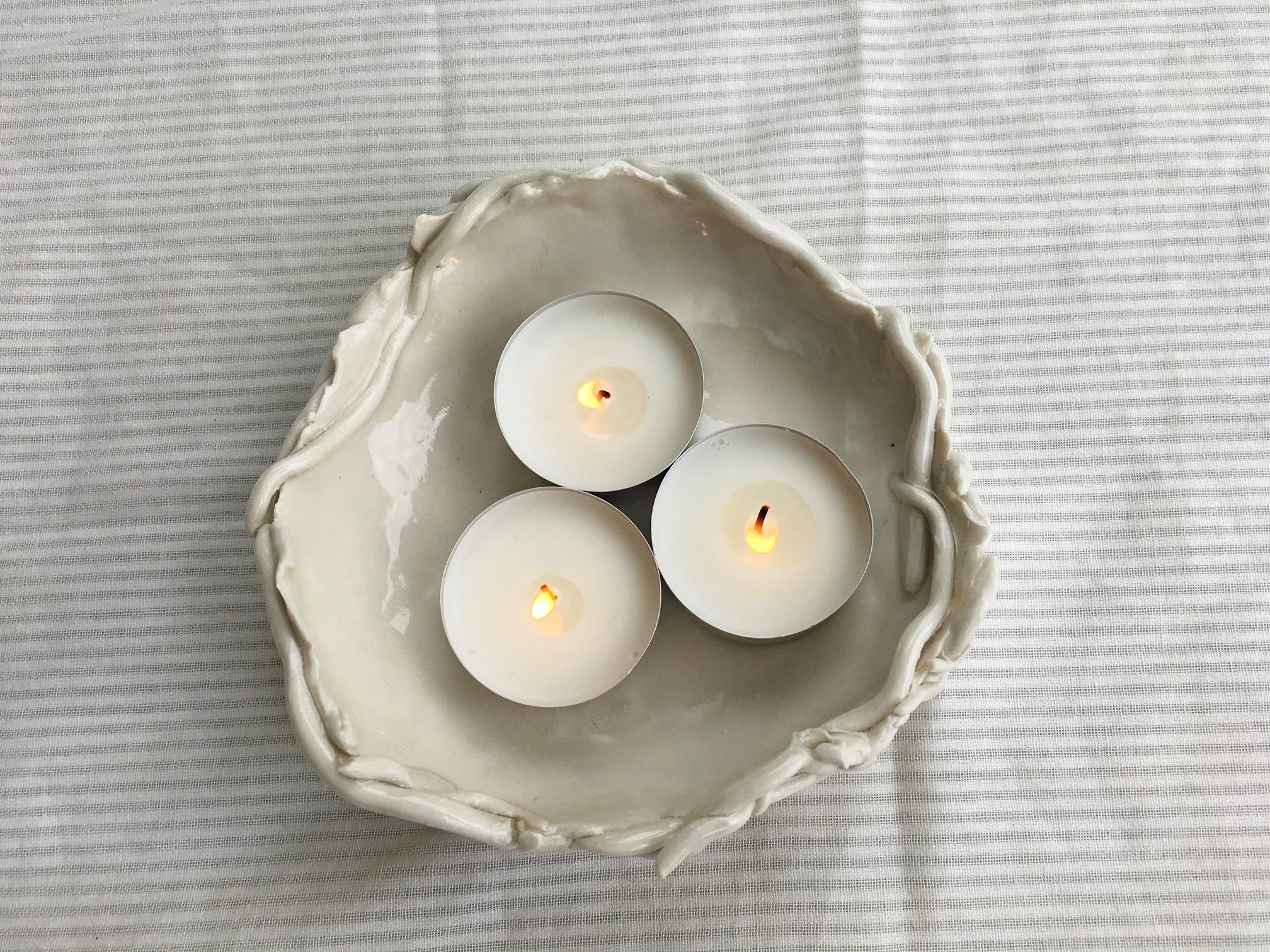 Large nest from above.JPG