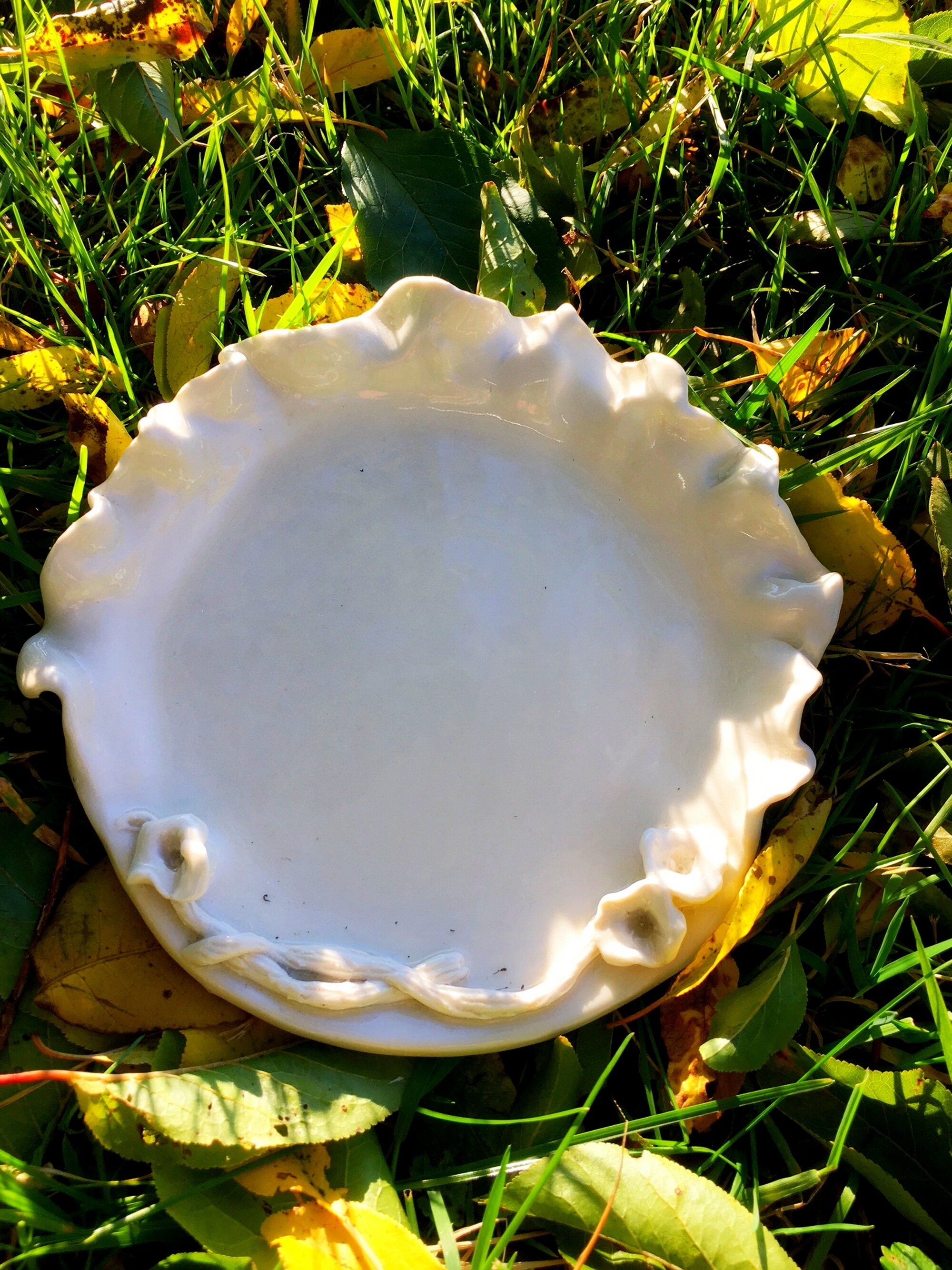 ruffles alone 2k.JPG