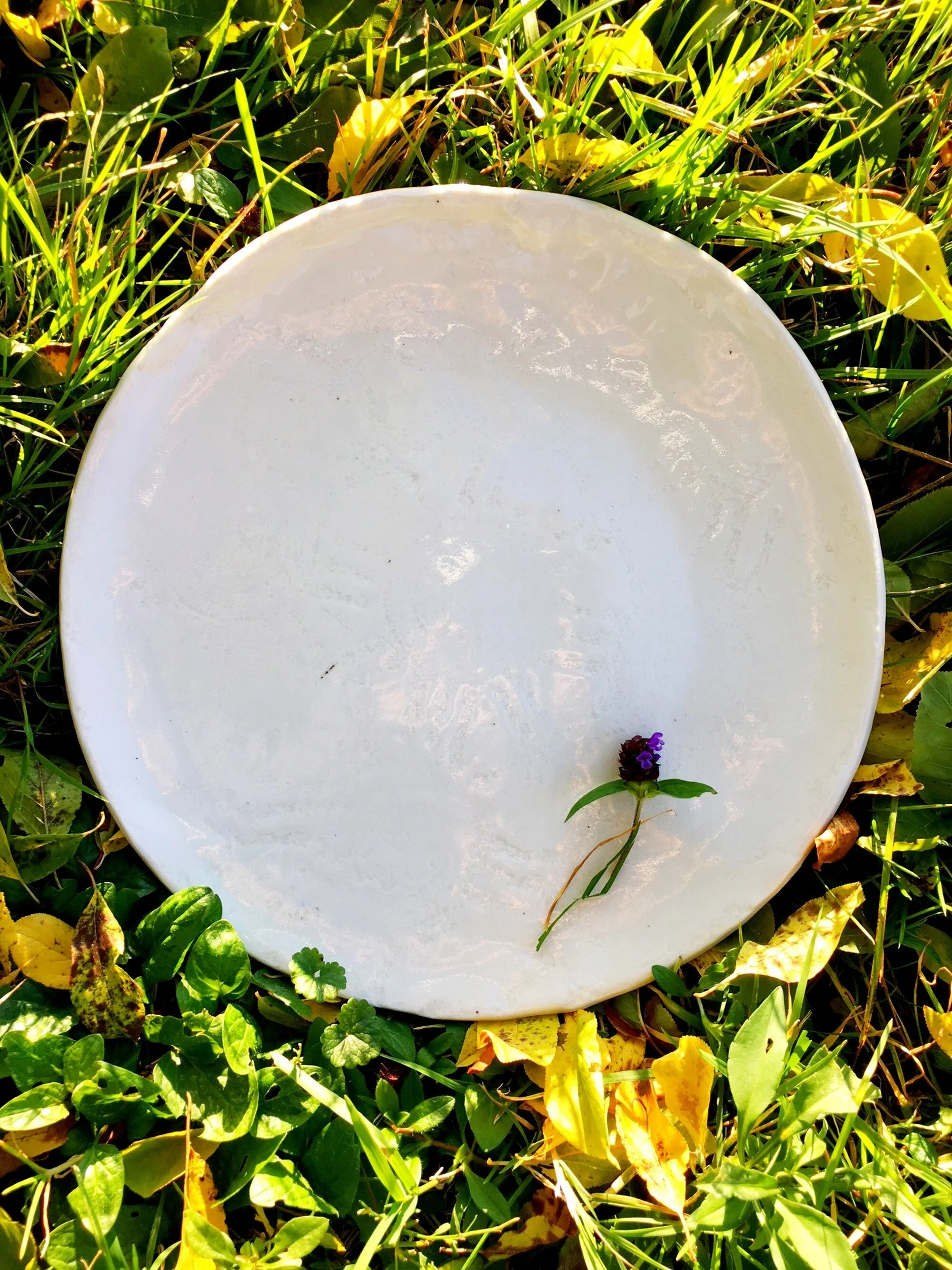 Lace large 1 plate 2k.JPG